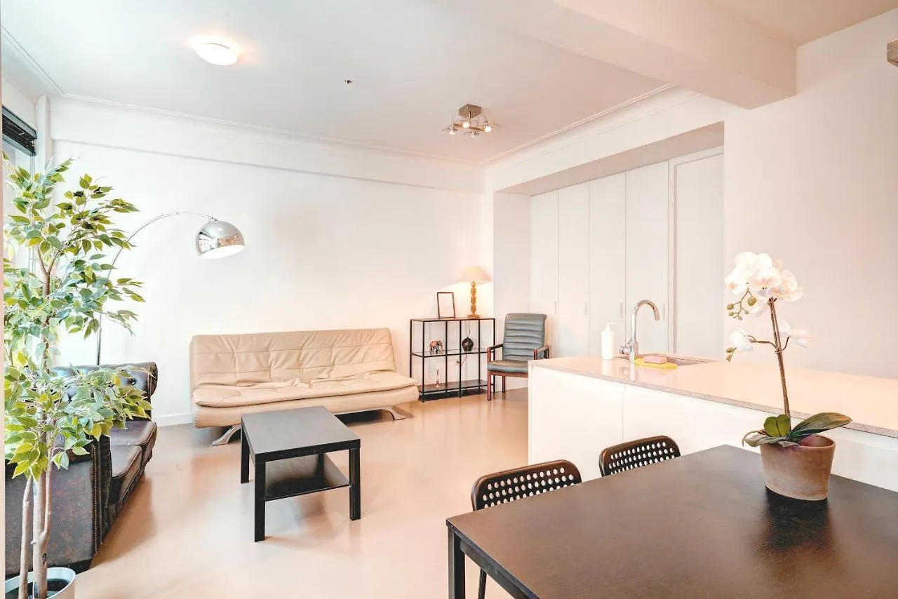 Spacious Apartments In The Heart Of Antwerp