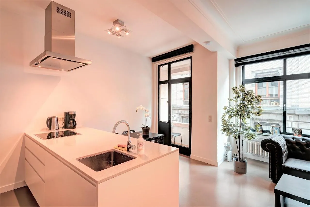 Spacious Apartments In The Heart Of Antwerp